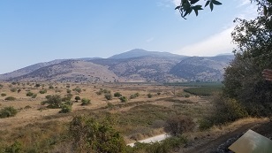 940.jpg